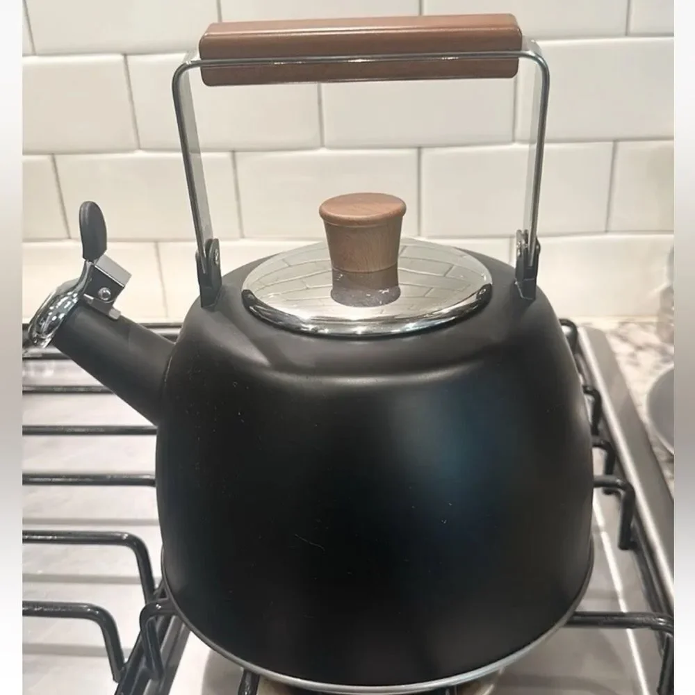 Well Equipped Kitchen Black Matte Stainless Steel Tea Kettle